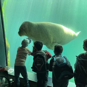 Ausflug in den Tierpark Hagenbeck