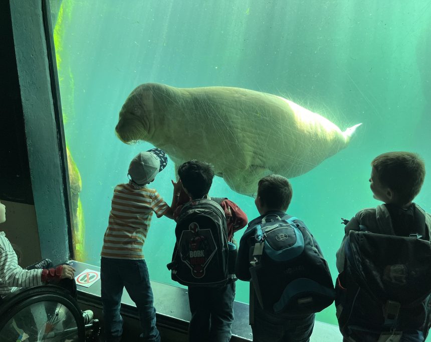 Ausflug in den Tierpark Hagenbeck