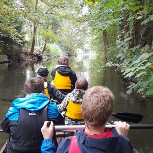 Paddeln auf der Alster