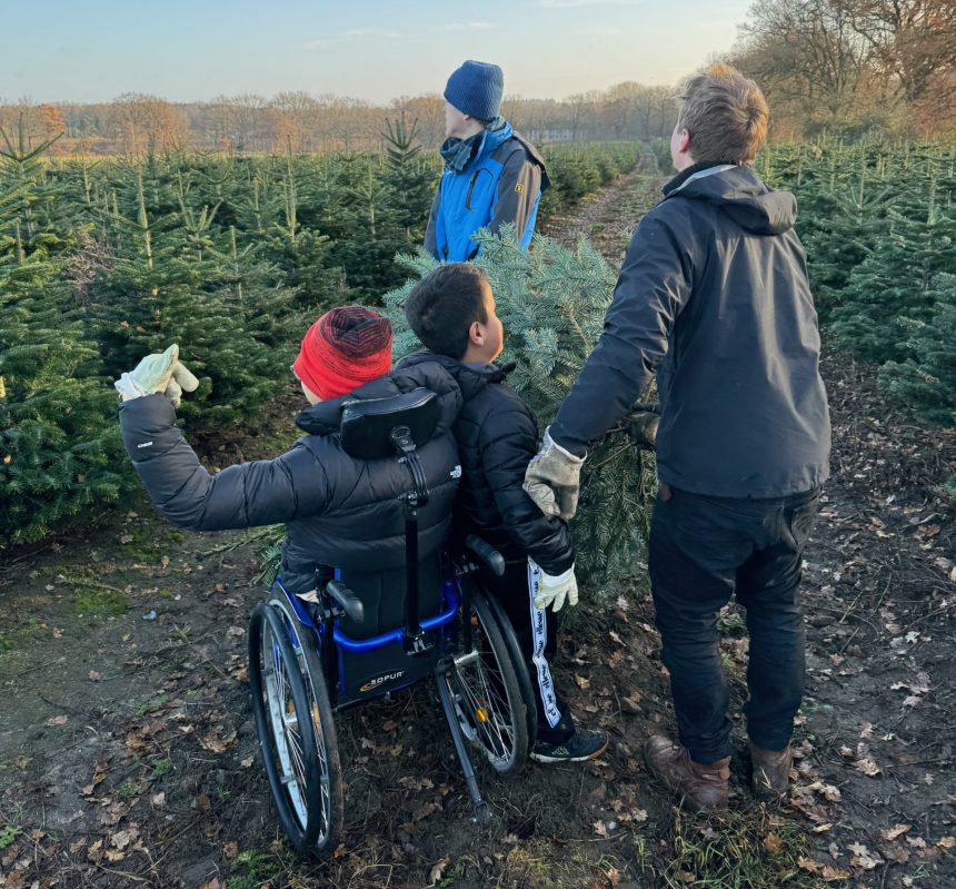 Klasse 10 hat einen Weihnachtsbaum gefällt