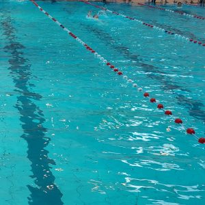 Schwimmfest in Wilhelmsburg