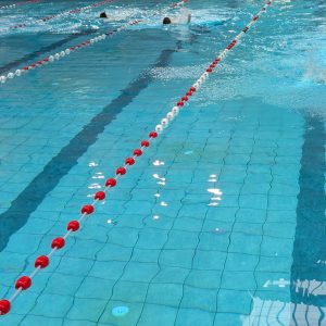 Schwimmfest in Wilhelmsburg