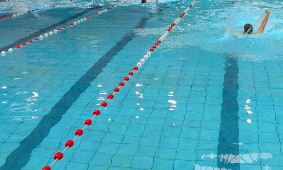 Schwimmfest in Wilhelmsburg